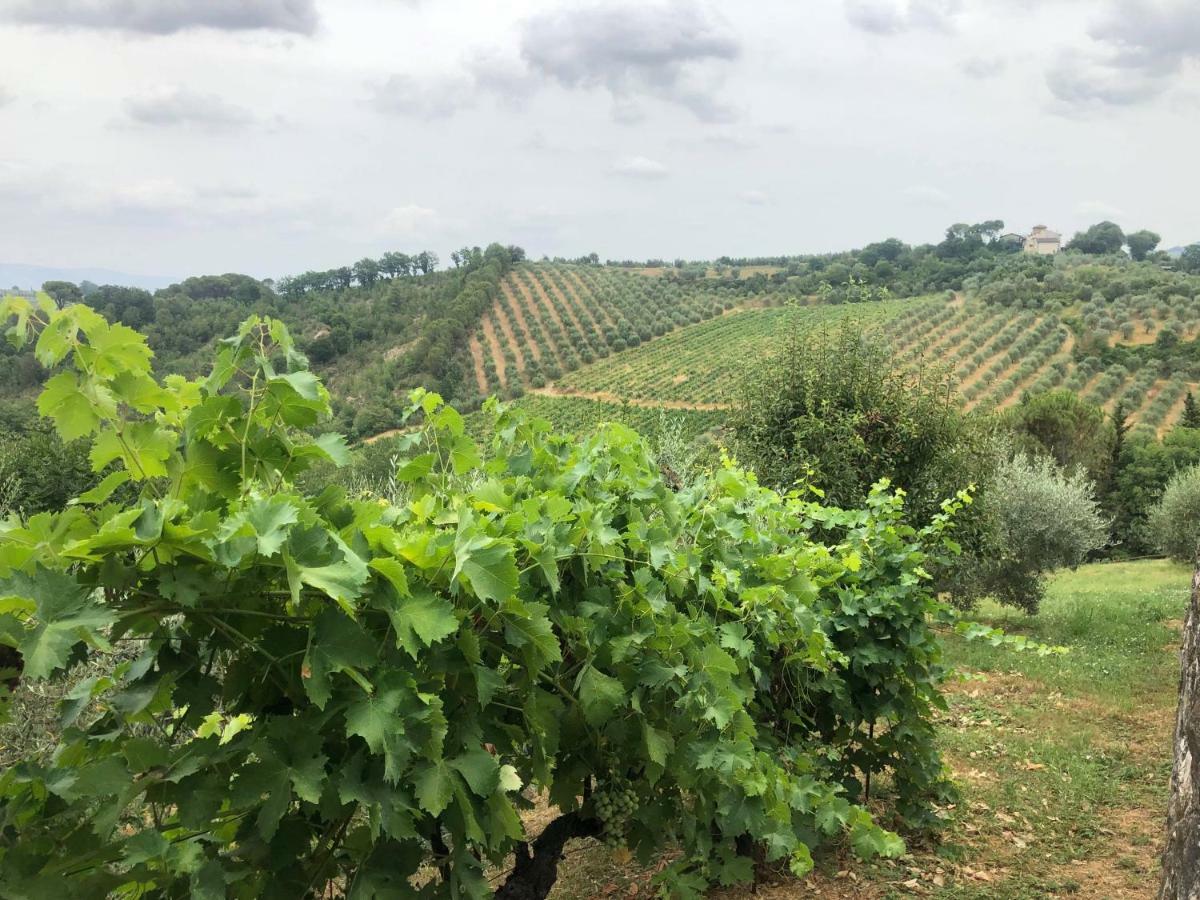 La Valle Di Anna Lastra a Signa Dış mekan fotoğraf